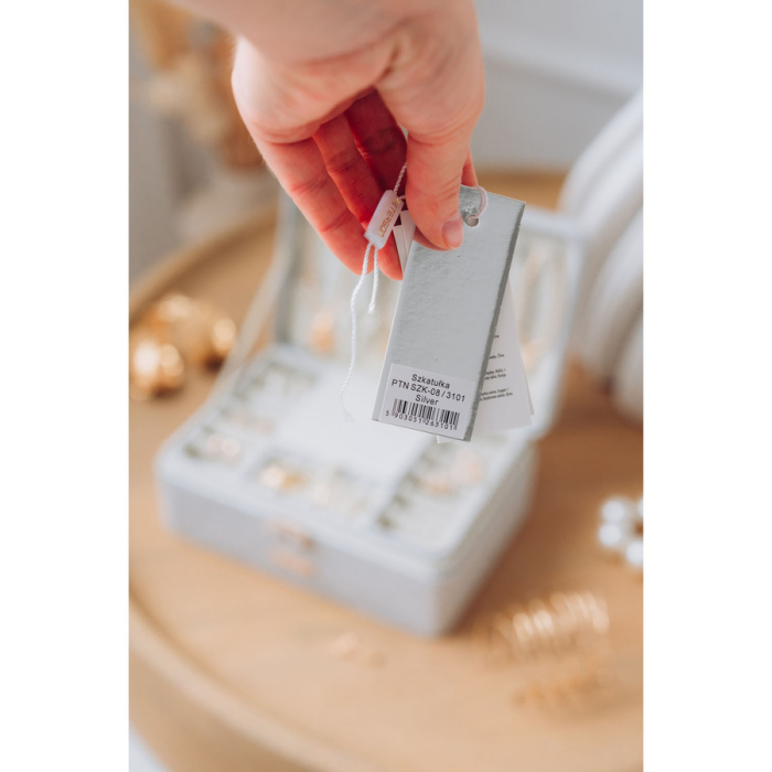 Cutie elegantă din argint cu zăvor și cheie - Peterson PTR-PTN SZK-08-3101 SILV [5]