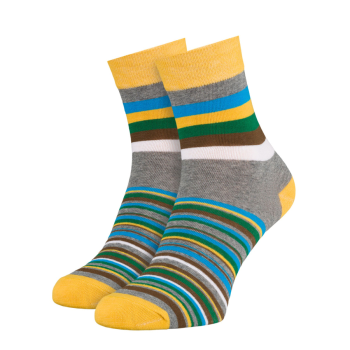 Set de 5 perechi de șosete bărbătești cu dungi, mărimi 40-45 - Peterson PTR-PTN SML-S5-40-45-PA1 [14]