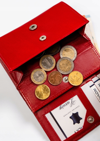 Portofel clasic de damă din piele naturală - Rovicky PTR-R-RD38-GCL-BL RED [11]