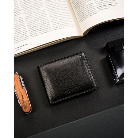 Portofel din piele naturala pentru barbati Cavaldi PTR-CW1012-NDM-0841 BL [2]