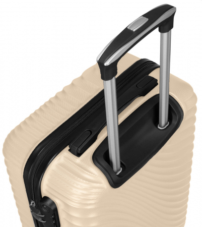 Troler Peterson PTR-PTN ML-29-GOLD S [2]