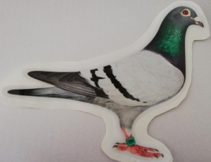 Accesorii - Autocolant porumbel albastru