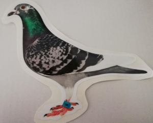 Accesorii - Autocolant porumbel gut