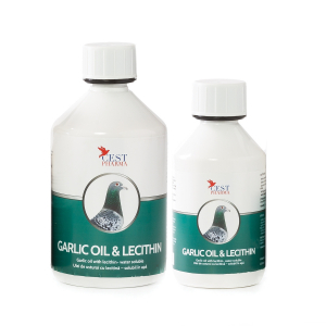 Suplimente și grituri - Ulei de usturoi cu lecitină 500ml Cest-Pharma