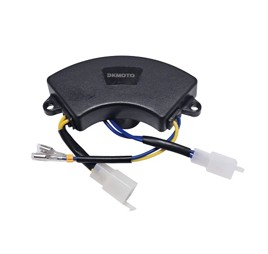 AVR Generator 2KW (250V 220F) - 8 fire [2]