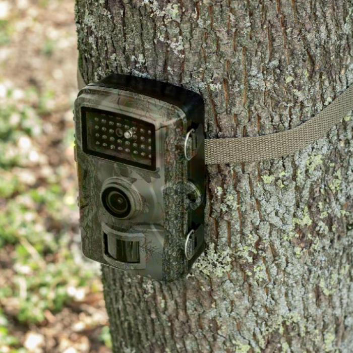 Camera animale salbatice, camera foto-video, reflector infrarosu, raza de actiune 10m, ecran LCD [4]