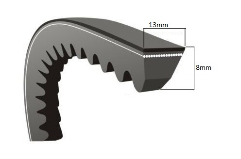 Curea motosapa (Zimbru 6544) 13 x 8 x 925 La [2]