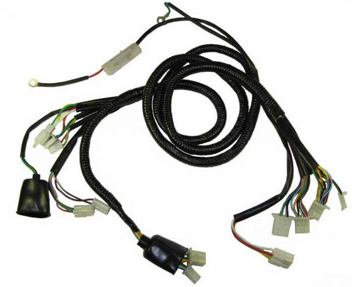 Instalatie electrica scuter chinezesc roata 12'' [1]