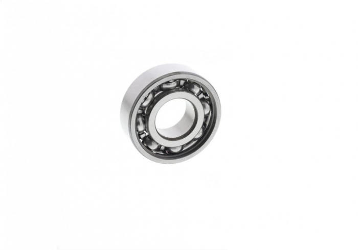 Rulment 6204 [1]