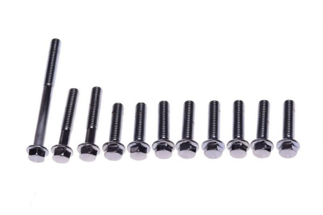 Set suruburi capac curea transmisie scuter 2T(11 buc) [2]
