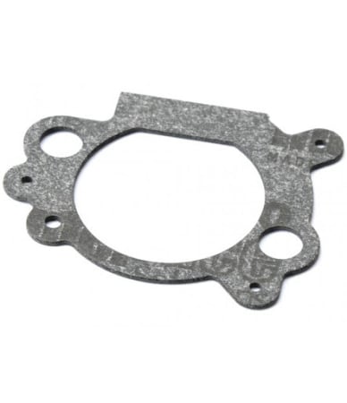 Garnitura carburator Briggs&Stratton Quantum [1]