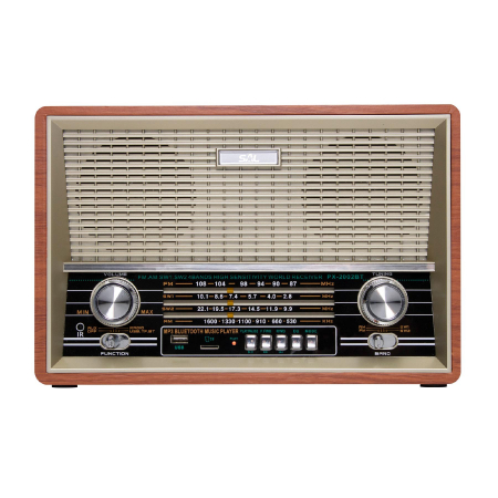Radio de masa retro si player multimedia [1]