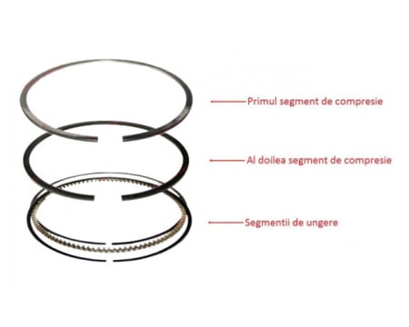 Segmenti scuter 4T 60CC 44mm cal. 2 [1]
