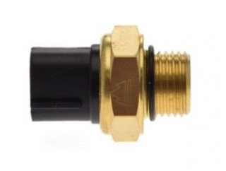 Termostat ATV CF Moto [1]