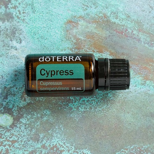 Ulei esential de Chiparos (Cypress - cupressus sempervirens) 15 ml doTERRA - pentru imbunatatires stari de spirit [2]