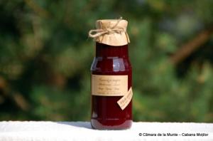 Sirop - Sirop de coacaze negre fara zahar 300ml - Camara de la munte