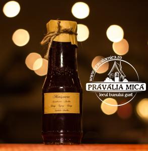 Produse traditionale - Sirop de merisoare 300ml - Camara de la munte
