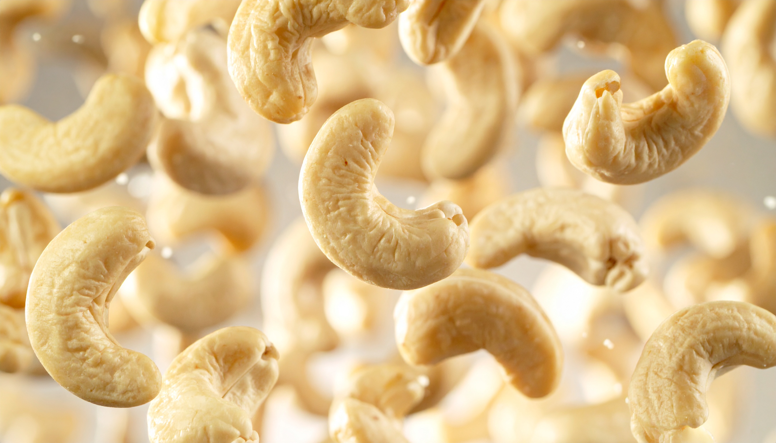 Ce tip de caju să alegi? Diferențe între WW210, WW240 și WW320