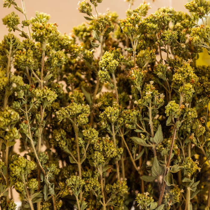 Oregano grecesc 75G [2]