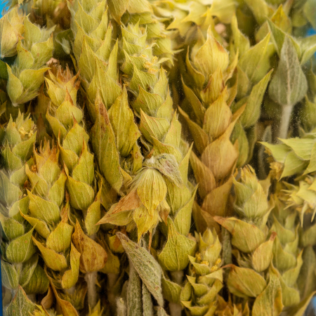 Ceai Grecesc Munte Vrac 75g [1]