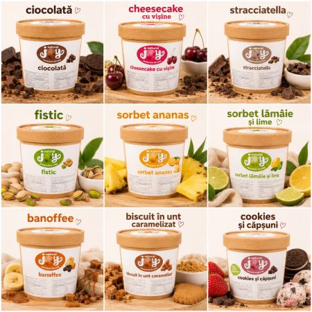 CIOCOLATA & CACAO - NJ Inghetata vanilie 400ml