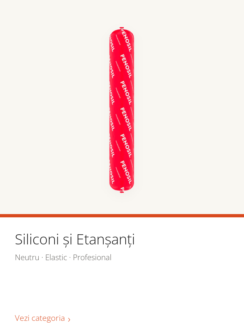 Componenta Siliconi si Etansanti