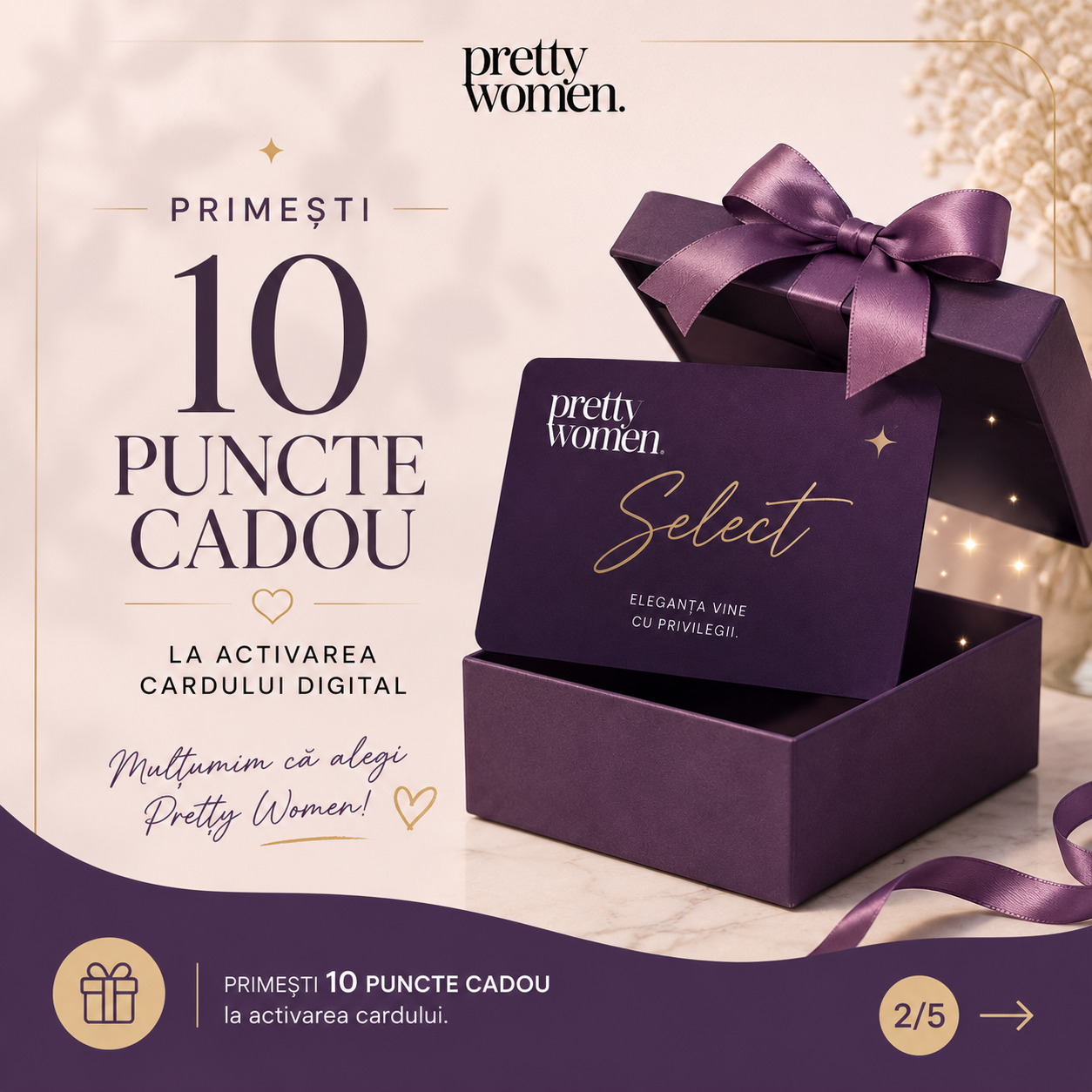 Galerie imagini