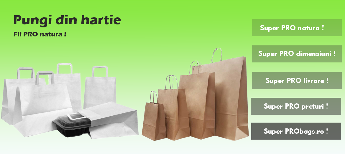 Pungi de hartie