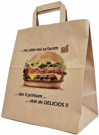 Punga Imprimata cu maner plat 26/17/31 [2]