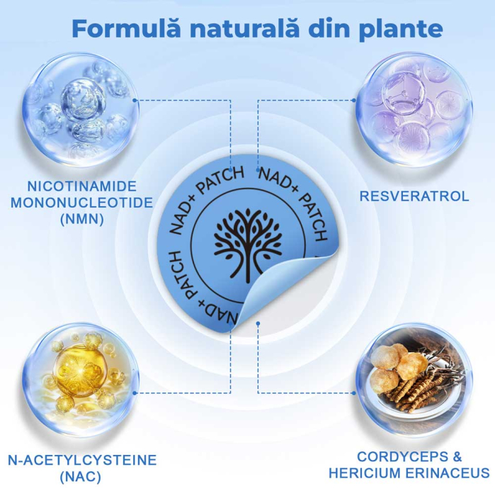 Plasturi NAD+ Anti-Imbatranire, Regenerare si Reparare Celulara cu Resveratrol si NMN, 30 buc-big