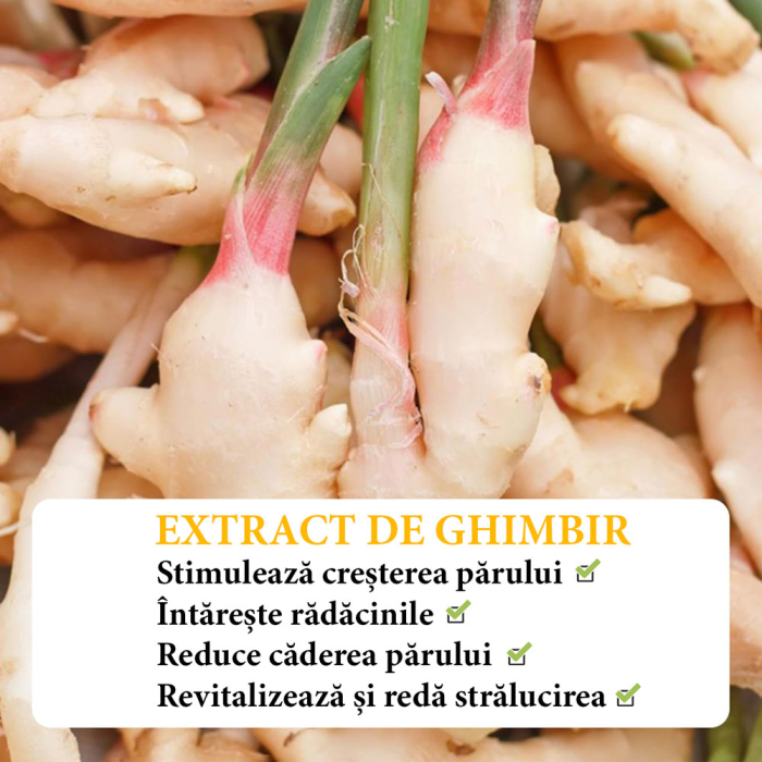 Balsam BioActiv pentru Par cu Ghimbir si Plante Medicinale NOVA KISS®, 300 ml-big