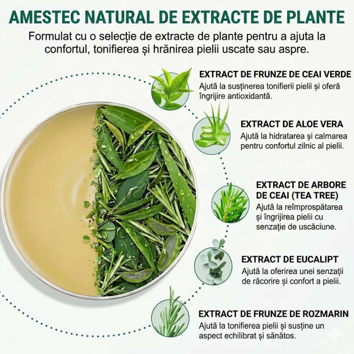 Balsam pentru Corp cu Arbore de Ceai, Eucalipt, Aloe Vera si Rozmarin, 60 g-big