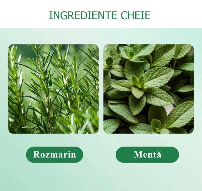 Masca Hidratanta cu Rozmarin si Menta pentru Par Deteriorat, 380 ml-big