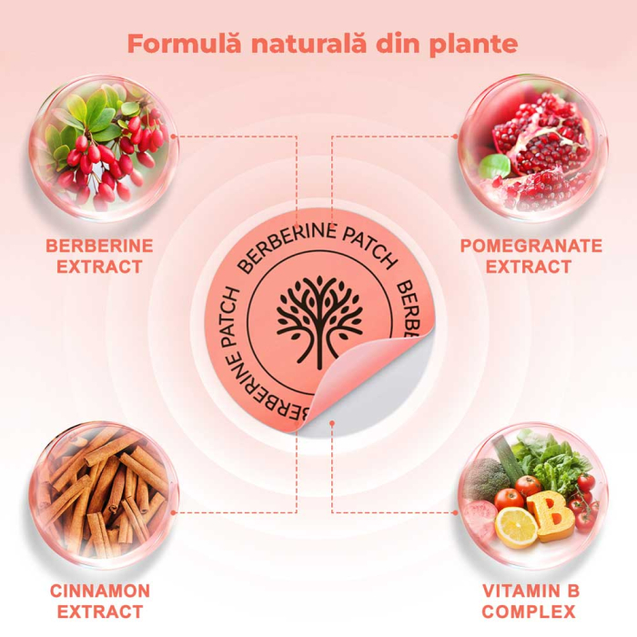 Plasturi cu Berberina pentru Slabit, Reducerea Poftelor, Controlul Apetitului, Metabolizarea Glucidelor, 30 buc-big