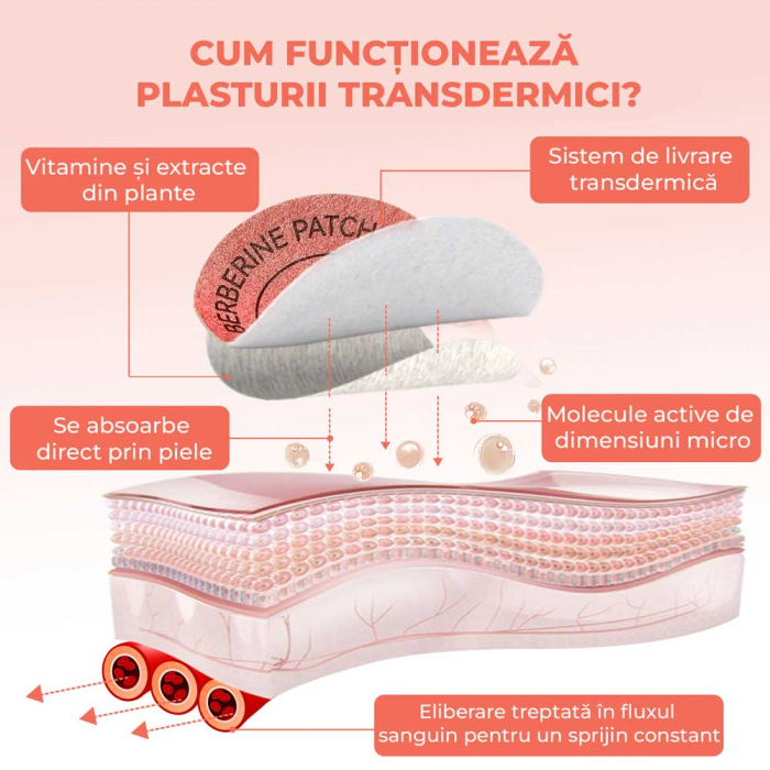 Plasturi cu Berberina pentru Slabit, Reducerea Poftelor, Controlul Apetitului, Metabolizarea Glucidelor, 30 buc-big