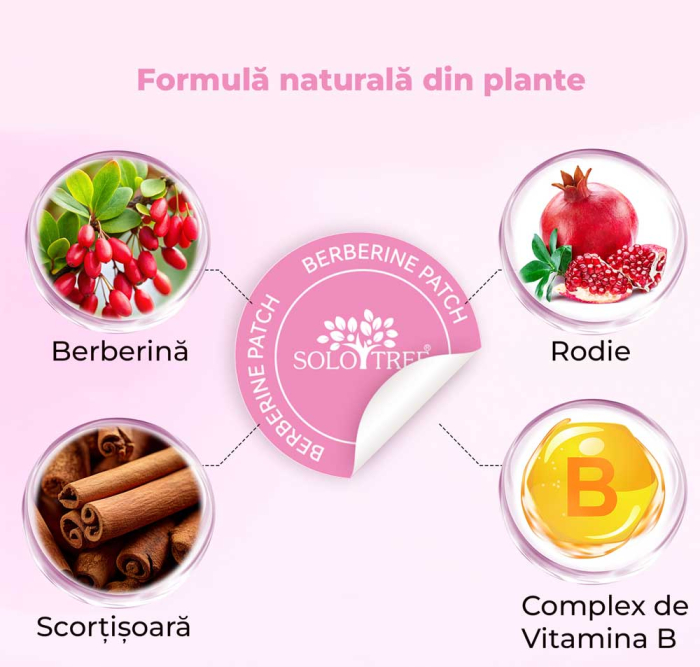 Plasturi Slabit cu Berberina – Controlul Poftelor si Reducerea Apetitului, 30 buc-big