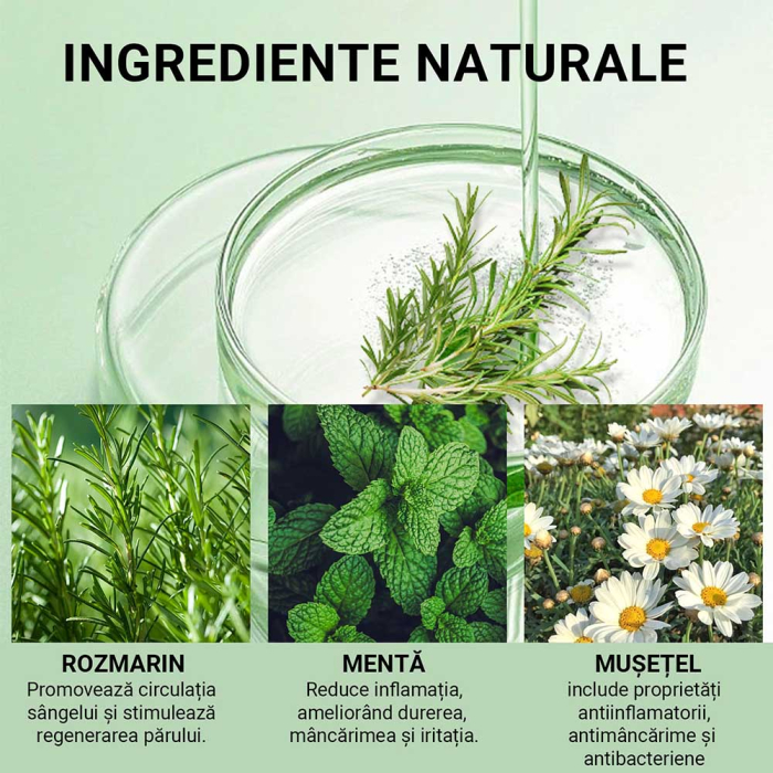Sampon cu Rozmarin si Menta pentru Cresterea Parului, NIFEISHI®, 300 ml-big