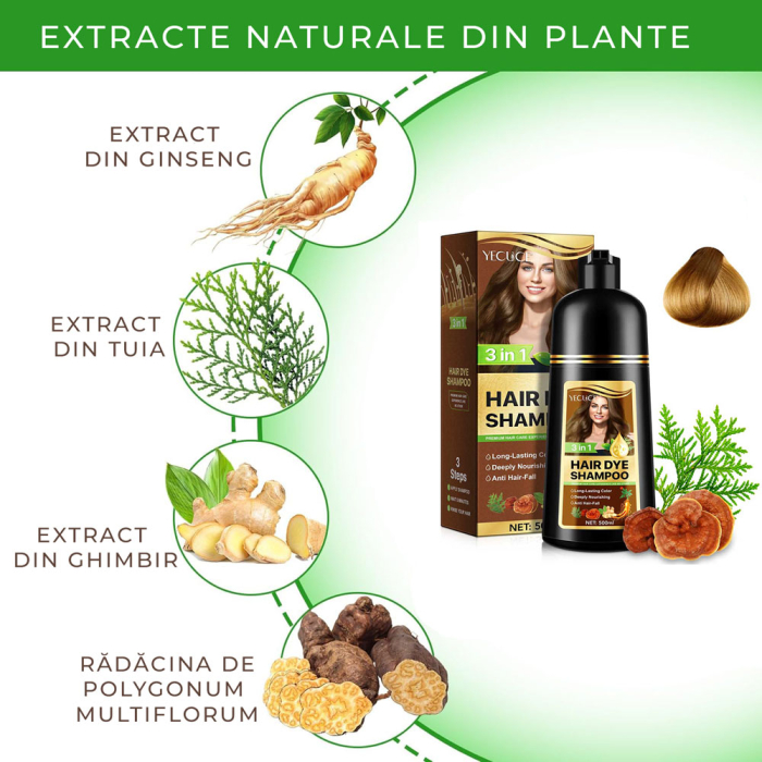 Sampon Colorant Maro, Acoperire Fire Albe si Regenerare 3 in 1, #2 Brown, 500 ml-big