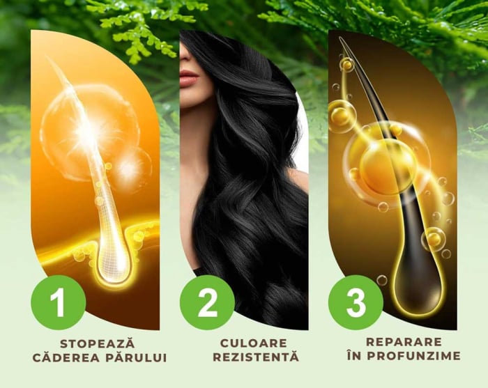 Sampon Colorant Negru, Acoperire Fire Albe, Regenerare 3 in 1 cu Ghimbir, 500 ml-big