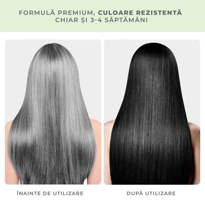 Sampon Colorant Negru, Acoperire Fire Albe, Regenerare 3 in 1 cu Ghimbir, 500 ml-big