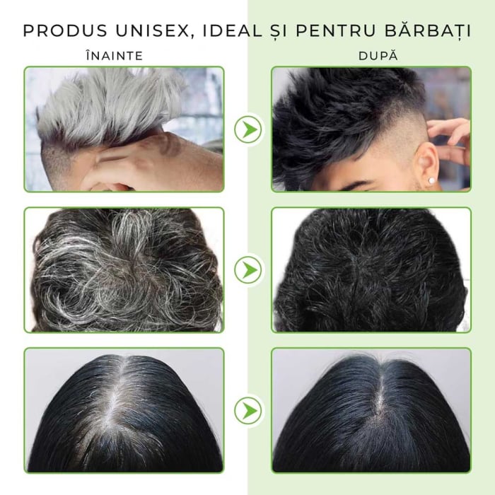 Sampon Colorant Negru, Acoperire Fire Albe, Regenerare 3 in 1 cu Ghimbir, 500 ml-big