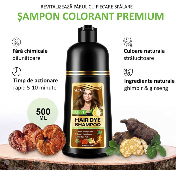 Sampon Premium 3 in 1 pentru Colorarea Parului, Anti Cadere, Regenerare cu Ghimbir si Ginseng, 500 ml, #2 Brown (Saten)-big