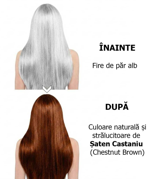Pachet 10 Șampoane Colorante Șaten Castaniu - Acoperire Fire Albe, 10x30ml-big