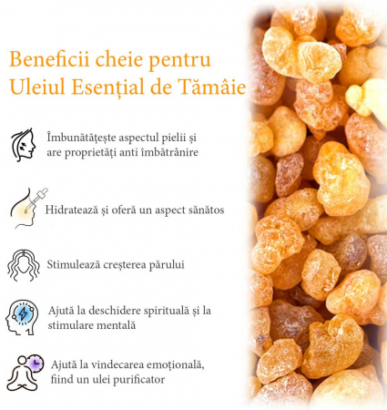 Ulei Esential de Tamaie, Grad Terapeutic Premium, 100% Pur & Natural, NOVA KISS®, 60 ml5