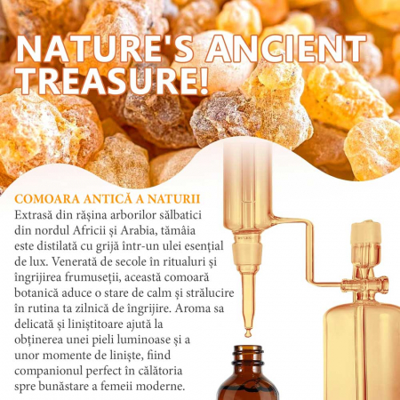 Ulei Esential de Tamaie, 100% Pur & Natural, Premium, Fara Hexan, NOVA KISS®, 60 ml3