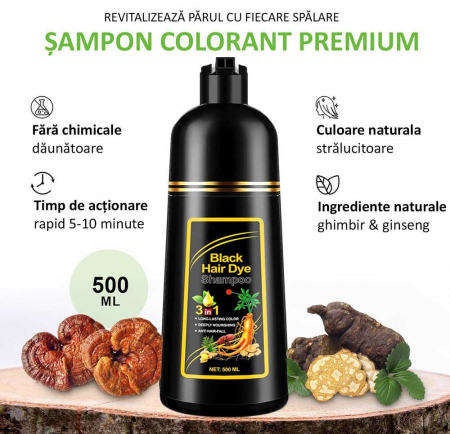 Sampon 3 in 1 pentru Vopsirea Parului Negru, Acoperirea Parului Alb, Regenerare cu Ghimbir, 500 ml2