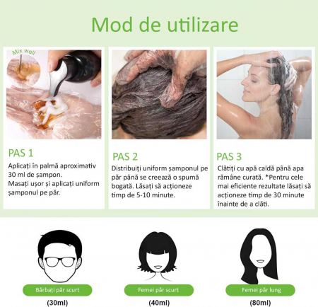 Sampon 3 in 1 pentru Vopsirea Parului Negru, Acoperirea Parului Alb, Regenerare cu Ghimbir, 500 ml1