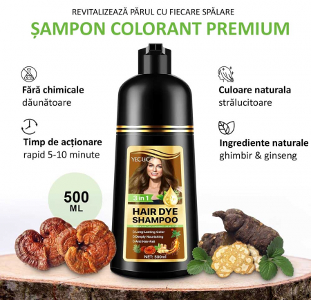 Sampon Premium 3 in 1 pentru Colorarea Parului, Anti Cadere, Regenerare cu Ghimbir si Ginseng, 500 ml, #2 Brown (Saten)2