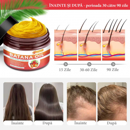 Ulei de Batana contra Caderii Parului, 100% Pur & Natural, stimuleaza Regenerarea Firelor de Par, NOVA KISS® 120 g1
