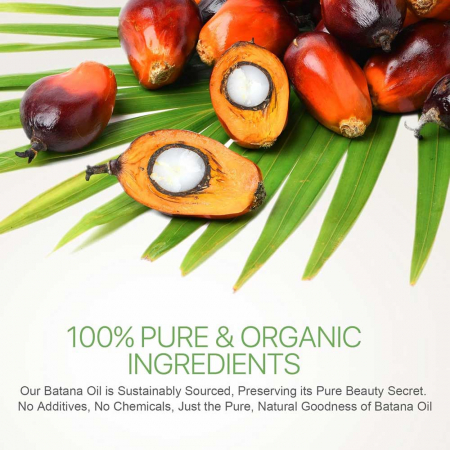 Ulei Premium de Batana, 100% Raw & Organic pentru Regenerarea si Stimularea Foliculilor de Par, 120 g2